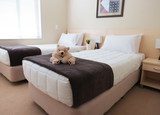 Two Bedroom Standard at Waldorf Newheaven Apartments