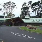 Auckland Zoo