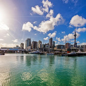 wynyard quarter