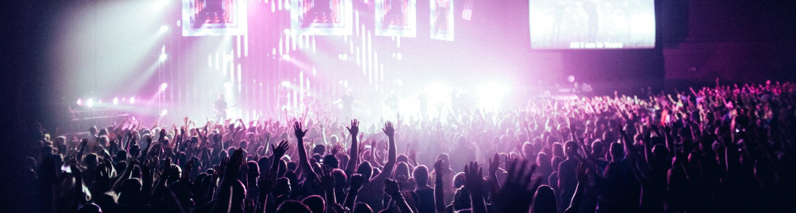 auckland events